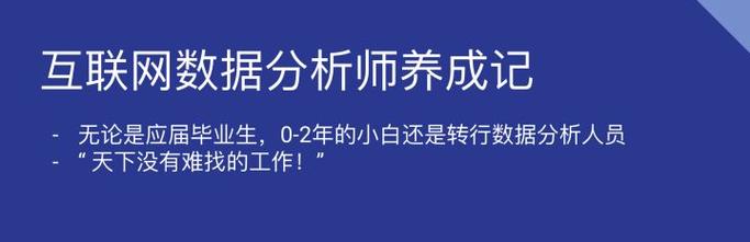 互联网数据分析师的职业发展道路与数据服务生态